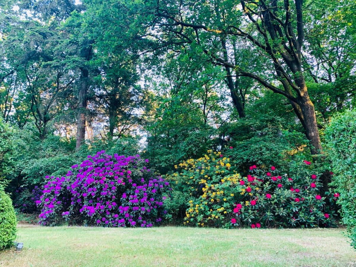 De Wollige Hooglander: In Comfort Middenin Natuur 欧特罗 外观 照片